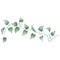 Twisting Leaf Wall Stencil Border | 2309 by Designer Stencils | Floral Stencils | Reusable Art Craft Stencils for Painting on Walls, Canvas, Wood | Reusable Plastic Paint Stencil for Home Makeover | Easy to Use & Clean Art Stencil